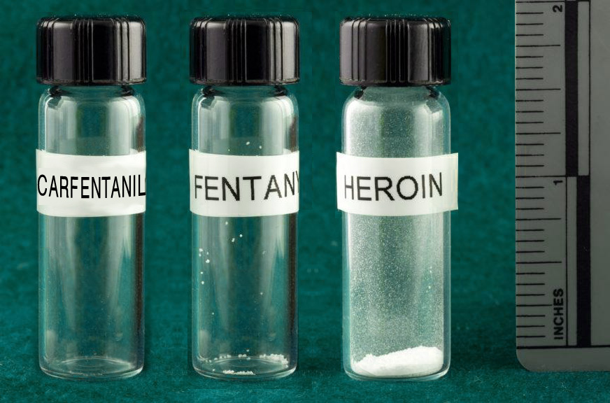 Foto1 Doses fatais de Carfentanil Fentanyl e Heroina Mortes por overdose batem 4º recorde consecutivo em NJ