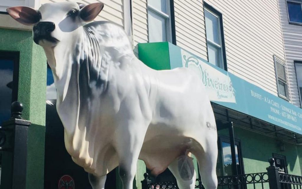 Foto23 Estatua de touro Prefeitura manda tirar estátua de touro em frente a restaurante brasileiro