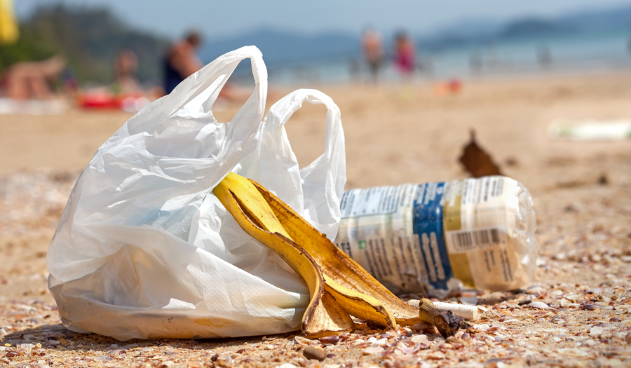 Foto19 Saca e garrafa plasticas NJ quer proibir sacolas de plástico e papel em supermercados