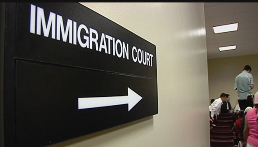 Foto7 Corte Migratoria de Miami Corte migratória em Miami virou “maquina de deportações”, revela estudo